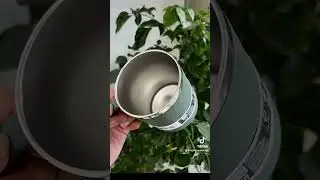 Hydro Flask Mug 12oz tại MacCenter