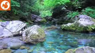 Relaxing Concentrated Music for Sleep and Improved Mental Clarity