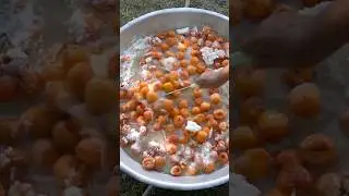 How Grandma Dries Apricots Under the Sun? 🍑 #apricots #how #driedfruits