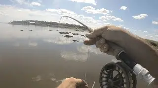 Georgia Redfish on the Fly
