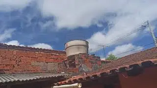 Pombos correios treininho de filhotes montes claros Mg