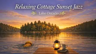 Golden Hour Jazz: Dog Swimming in Ontario Lake 🐕🎷 | Sunset Ambience for Relaxing 📚🌅