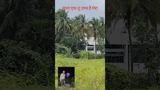 #short video viral YouTube #chandan video gaura bazar hindi song #yutubeshorts #subscriber &hearts;️&hearts;️&hearts;️💯💯💯