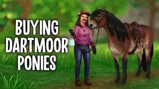 BUYING THE NEW DARTMOOR PONIES IN STAR STABLE!! *BUYING THE SAME HORSE TWICE*
