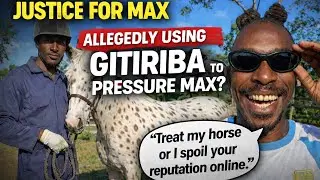 Justice for Max: Allegations Marwa Used Gitiriba to Demand Horse Treatment or Ruin His Name Online