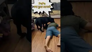 Death Prank On My Dog | Prank Gone Wrong😂 #doglover #trending