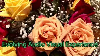 #Nature#Light#Color#Music: Beautiful Synchronization