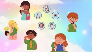 A la découverte des 5 sens 🌟 Chanson ludique pour enfants 🌟 Maternelle 