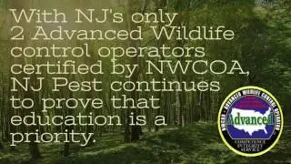 Advanced Wildlife Control