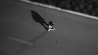 Welkom - CINDERELLA (Video Oficial) (prod by. BUNNYBOO & JACKIE) 