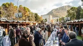 As&iacute; vivi&oacute; Ja&eacute;n su Fiesta del Primer Aceite
