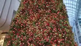 The tallest Christmas Tree in Toronto, Eaton Centre