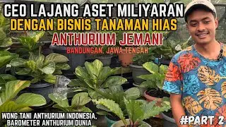 CEO YANG MENYAMAR TERNYATA MEMILIKI ASET MILIYARAN DENGAN BISNIS TANAMAN HIAS ANTHURIUM JEMANI !!