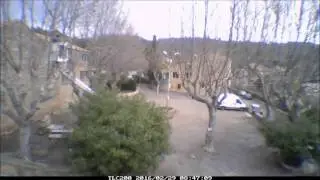 Platanen Snoeien PlaceStGeorges
