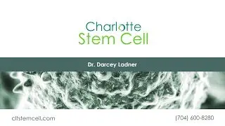 Are Stem Cells FDA Approved? | Charlotte Stem Cell