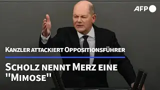 Scholz nennt Merz eine 