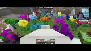 Sassy Streams: Sheepapalooza! - Bewitchment Reforged