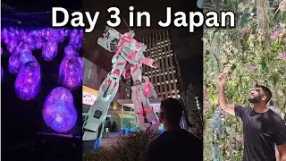 Japan Day 3 - Gold's Gym, Tsukiji Fish Market, Team Labs and Diver City