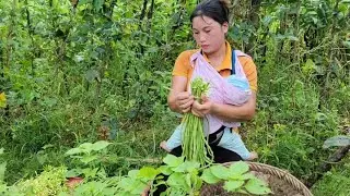 The girl harvests long beans and repairs the farm.