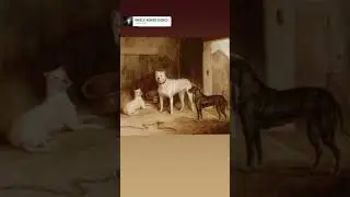bulldogs,bull ,terriers,&eacute;poca final del bullbaiting 🍁