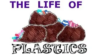 Why Does PLASTIC Last 'FOREVER'?