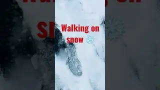 #shorts #snowfall #adventure #travel #australia