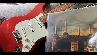 Обзор Fender Player Stratocaster Limited Edition Fiesta Red с демо-записью и новым грифом!