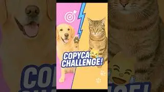 Copy Cat Challenge! #petcomedy! #dogvscatviralvideo