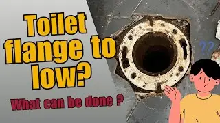 Toilet Flange Replacement & Repair Tips