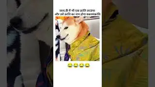 bas aane hi wala hai #shorts #funny #dankememes #dog #memes