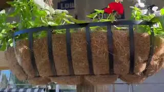 effortless and beautiful porch garden!!