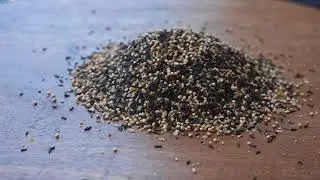 Wild Bird Center's FinchWise&reg; Seed