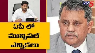 AP SEC Released municipal elections 2021 notification | AP Elections | TV5 News