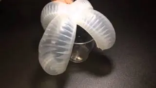 Bio-Kinesis: Actuation Test2_grab