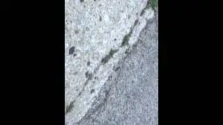 Bike kid