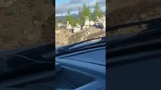 Rock ppl##like #shortvideos #viralvideos #video #shortvideos #shortsfeed #short #shorts #subscribe