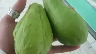 10 Impressive Benefits Of Chayote Squash-Good Foods For Health