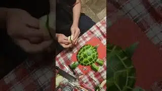 Watermelon Turtle