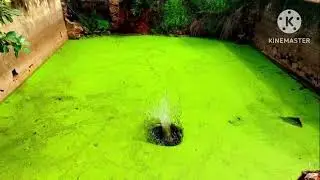 திருநெல்வேலி ஸ்ரீவைகுண்டம் கருங்குளம் அருகில் 40 ஏக்கர் நிலம் விற்பனைக்கு உள்ளது 1 ஏக்கர் 15 லட்சம்