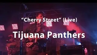 Tijuana Panthers, 