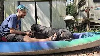 Kayak Training A Hunting Dog