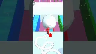 Snow race