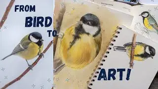Birdwatching & Art: The Magic of Great Tits (Parus Major)
