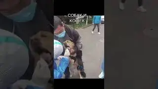 ТЕСТИРОВАНИЕ В КИТАЕ. НОВОСТИ ЛОКДАУНА. ЭКСПРЕСС ТЕСТЫ НА КОВИД. ТАКОГО ВЫ ЕЩЁ НЕ ВИДЕЛИ