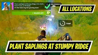 Plant saplings at Stumpy, Fork Knife Food Truck or FN Radio fortnite locations