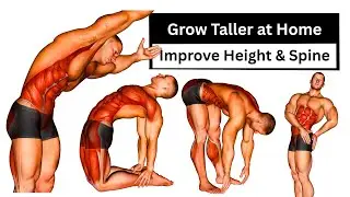 Grow Taller at Home Naturally | 15 Daily Stretches to Improve Height & Spine