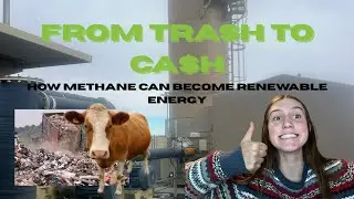 From Trash to Cash! - Cards Against Humanity Stem Ambassador Scholarship 2026