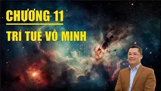 Chương 11: Tr&iacute; Tuệ V&ocirc; Minh