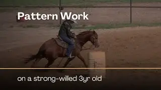 Pattern Work on a Strong-Willed 3yr Old with Jolene Montgomery on Between The Reins