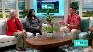 Remembering Maui: Two years of recovery and resilience with the Hawaii Red Cross